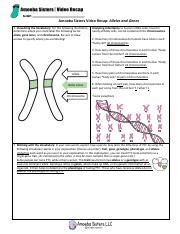 amoeba sisters alleles and genes|More.